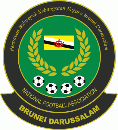 brunei darussalam afc primary pres logo t shirt iron on transfers